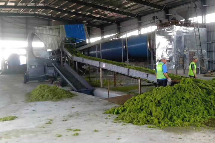 滸苔烘干機能耗低，獨特的脫水加烘干工藝，大大降低烘干成本，成功解決滸苔之患。